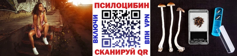 Галлюциногенные грибы Psilocybine cubensis  Светогорск 