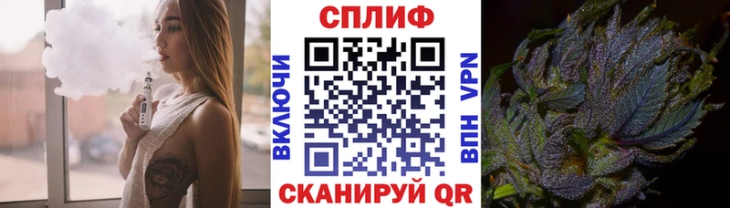 Конопля OG Kush Светогорск